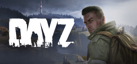 DayZ com PingBR