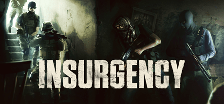 Insurgency
